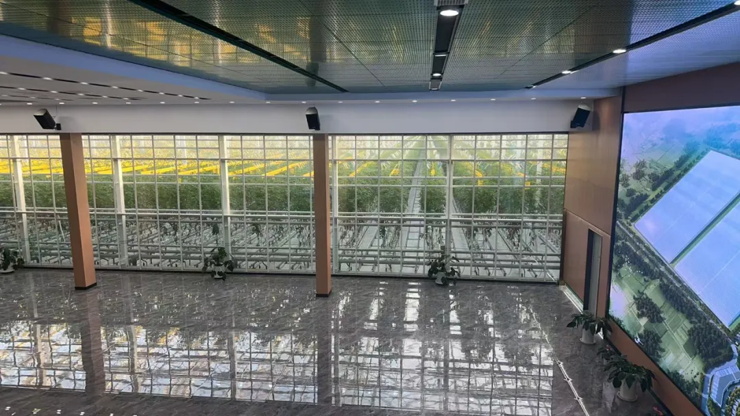 翠湖智慧农业创新工场