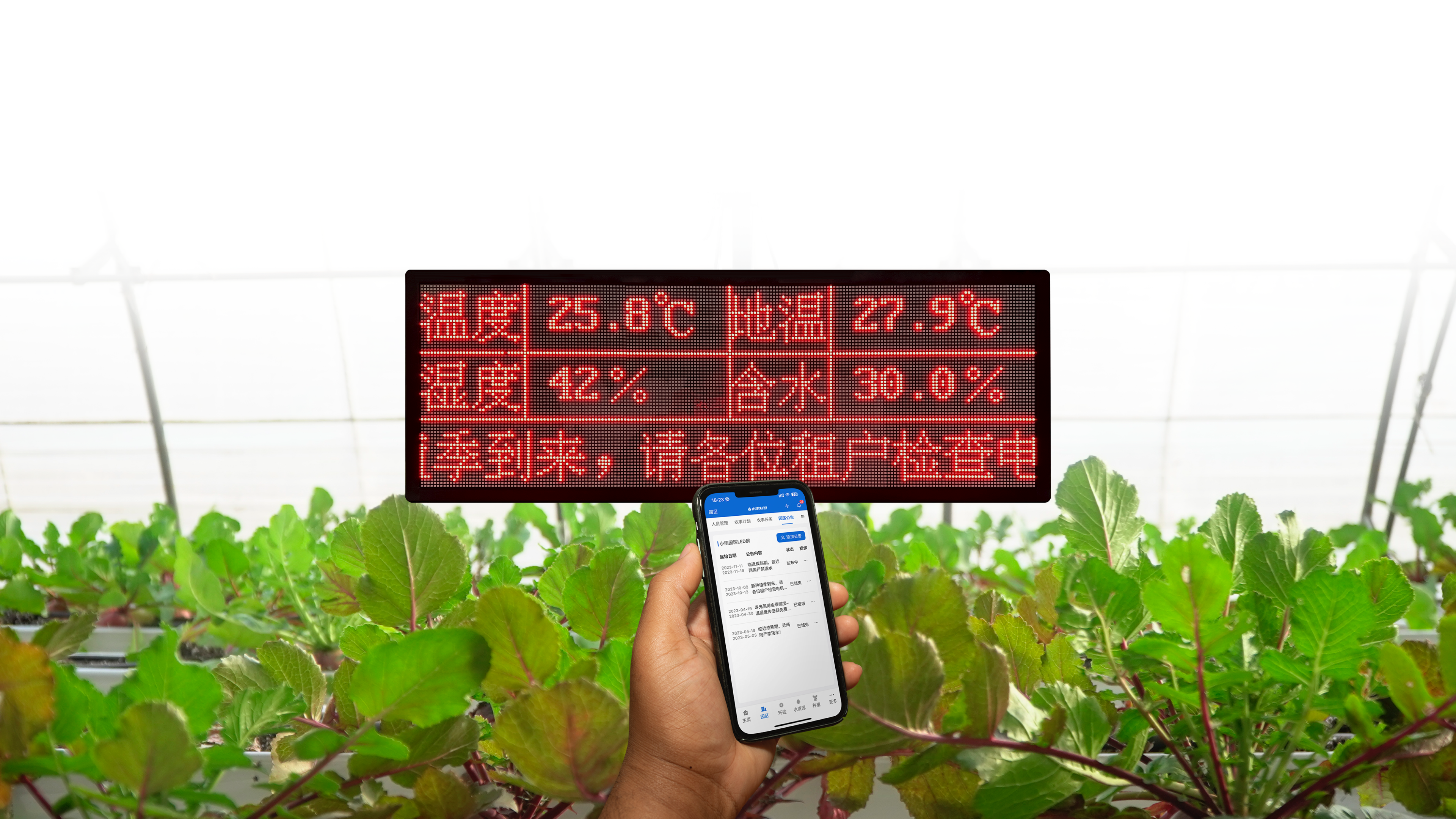 无需拉线,自动关联