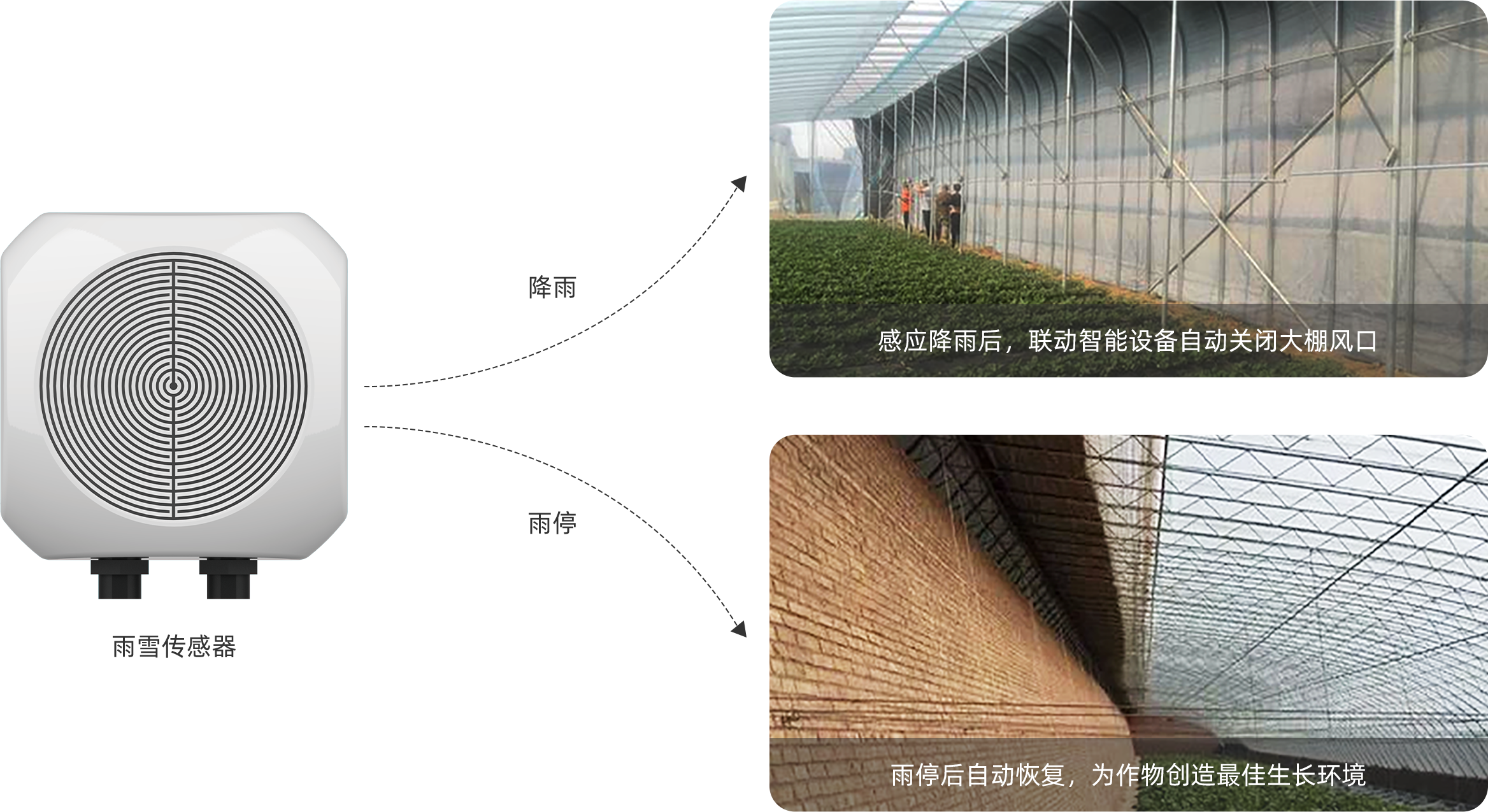 降雨自动关棚